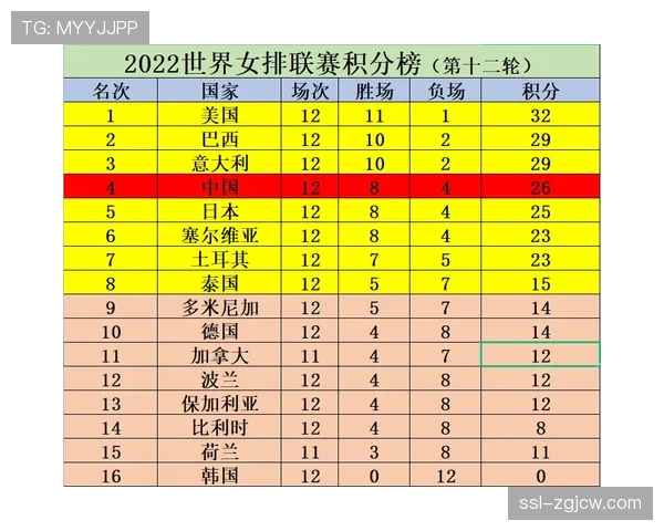 排球运动员个人品牌价值报告发布，埃格努、莱昂位列前茅