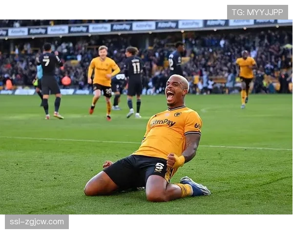 雨中激战，富勒姆对阵狼队比赛因场地积水短暂中断