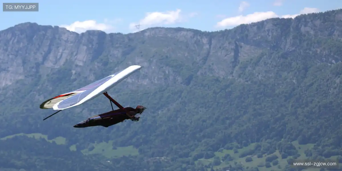 🏟️ 赛场主题夜全城狂欢,一起嗨到天亮!🎆